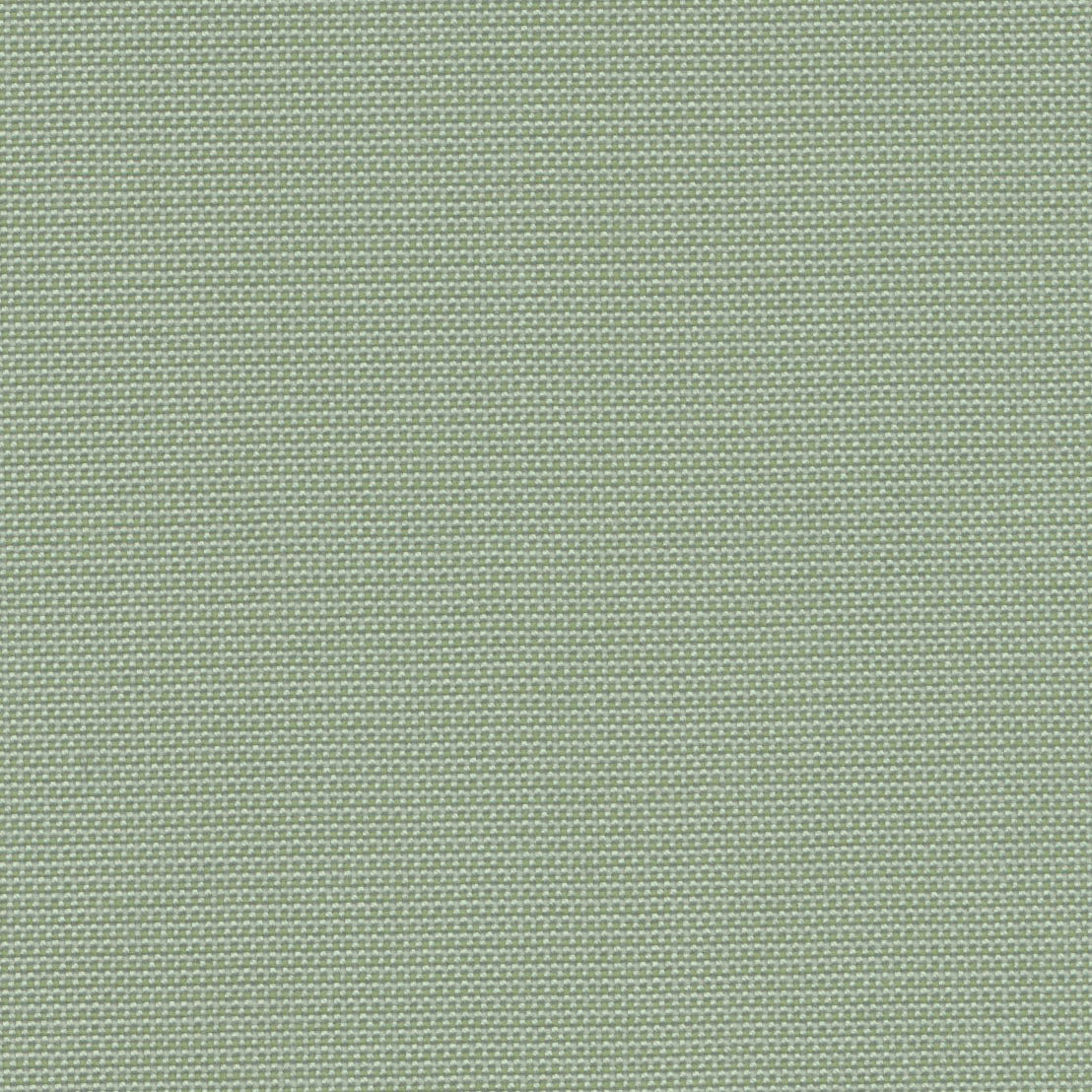 Blend - White Pepper