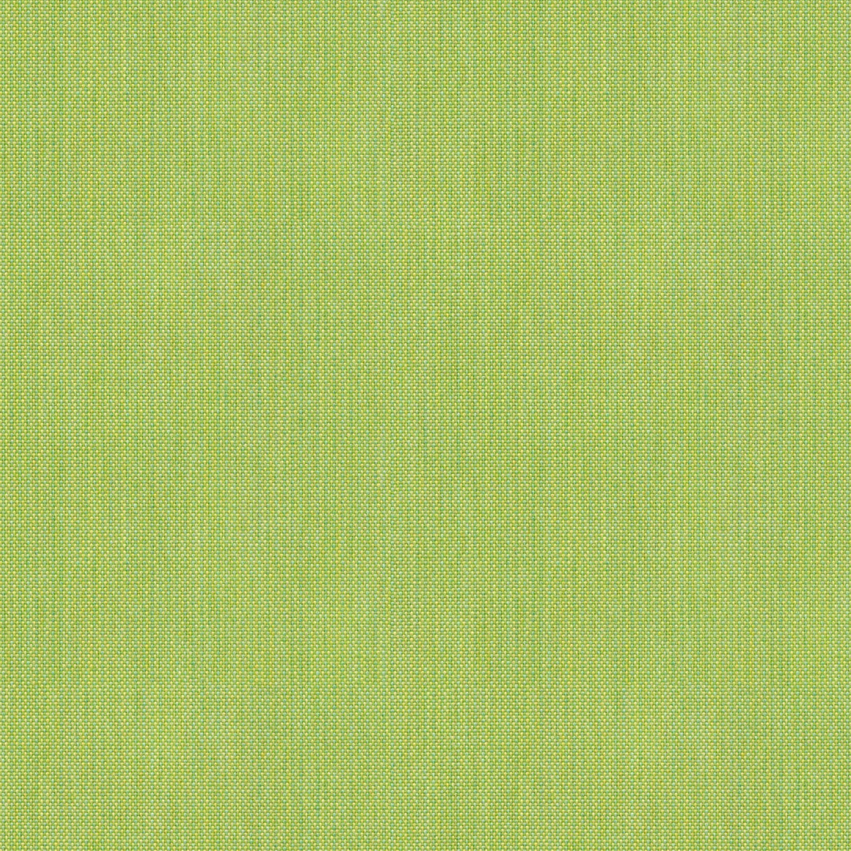 Blend - Pistachio Shell