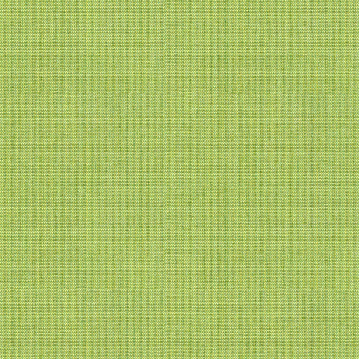 Blend - White Pepper