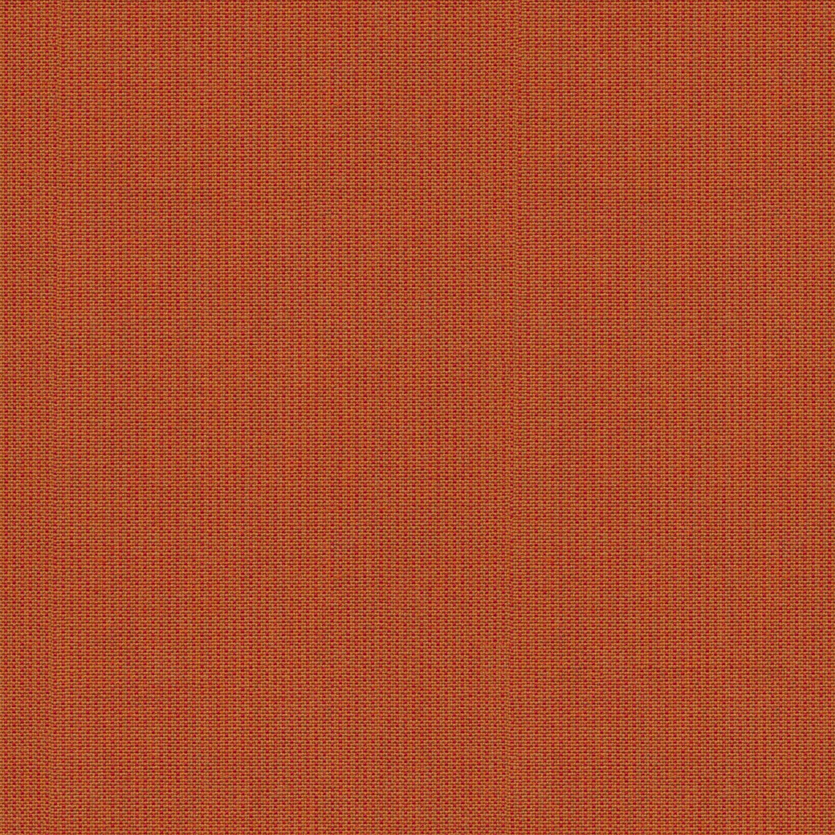 Blend - White Pepper