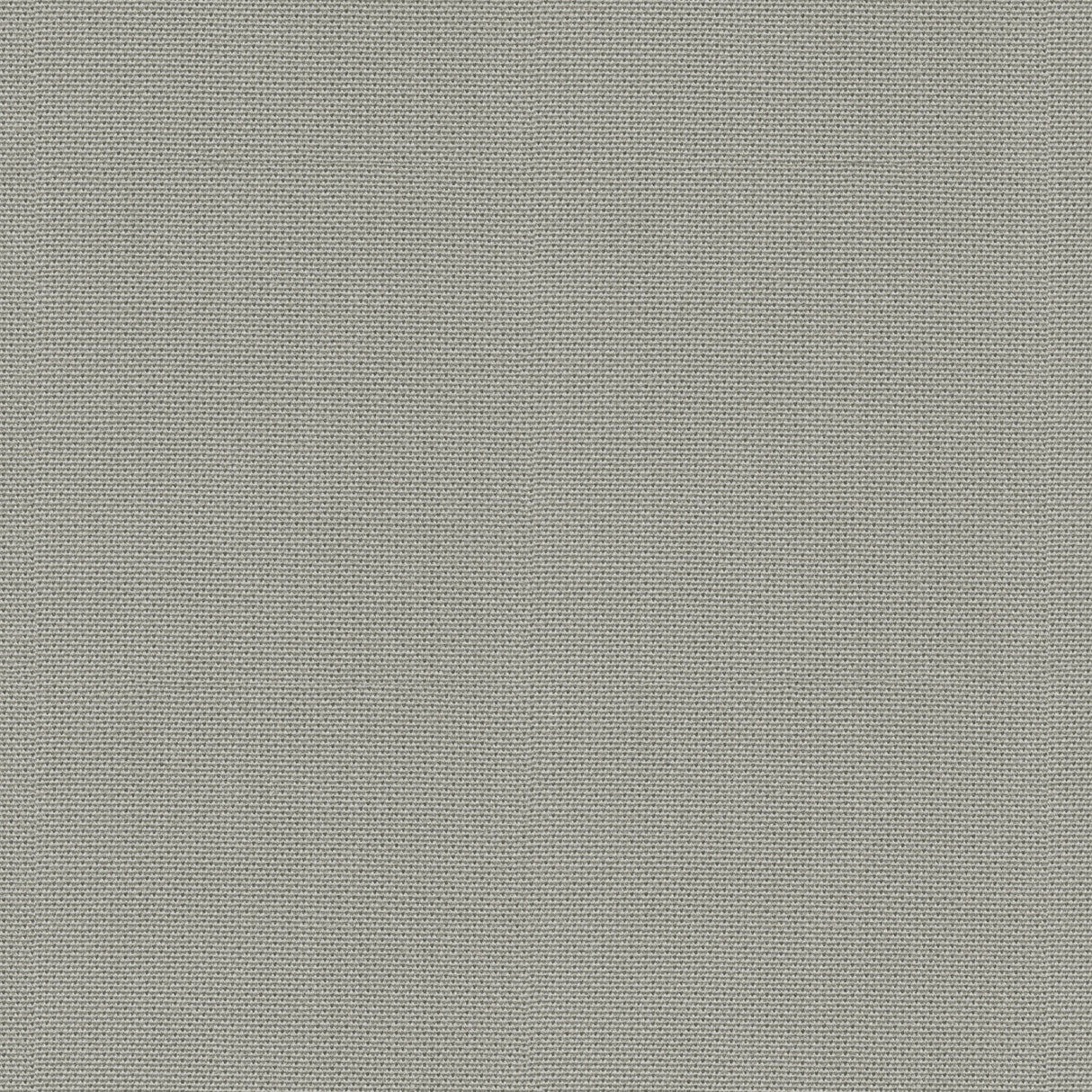 Point - Apricot Gelato