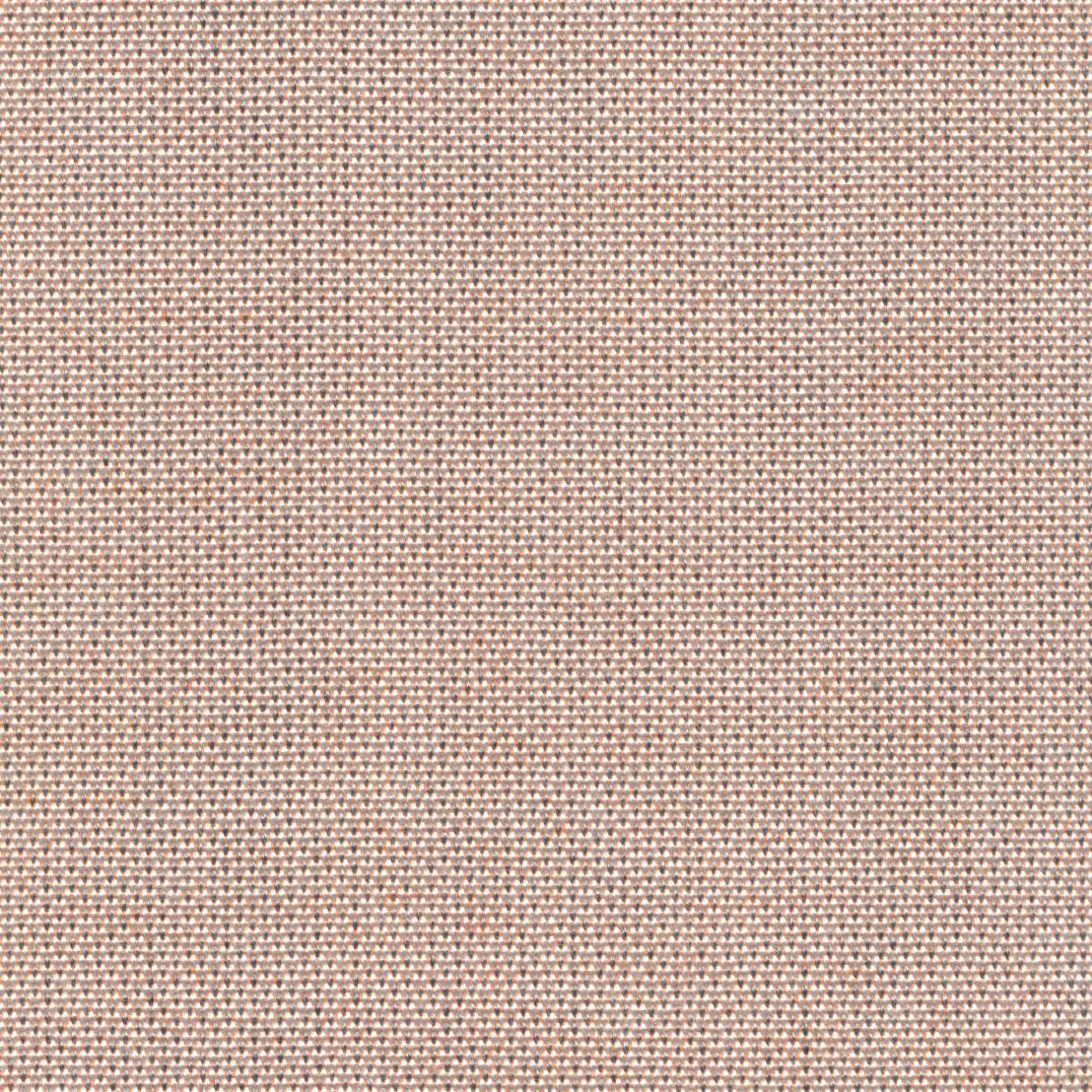 Point - Apricot Gelato