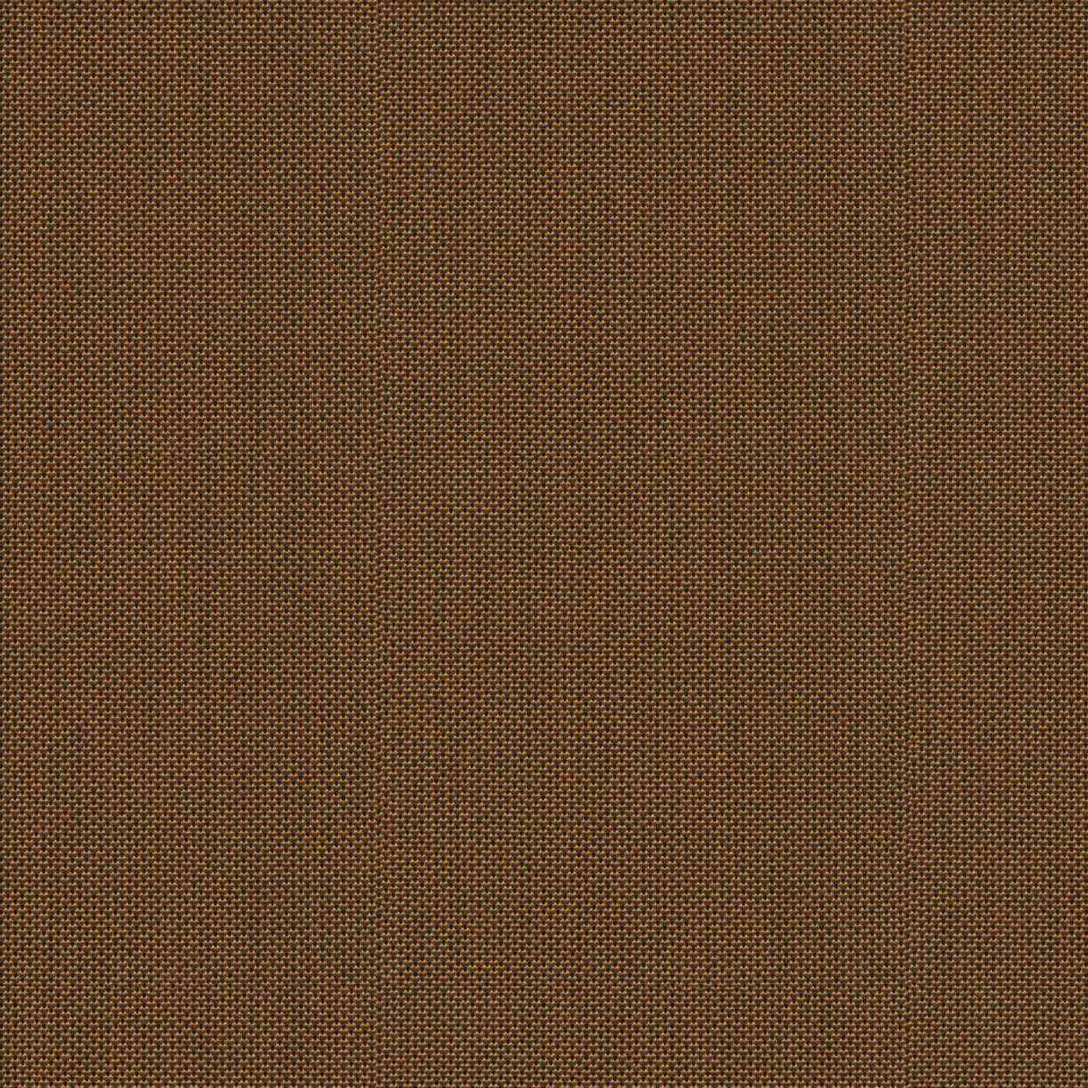 Point - Apricot Gelato