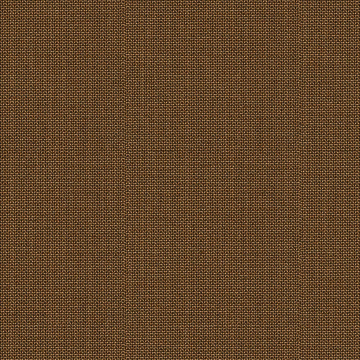 Point - Frosty Spruce