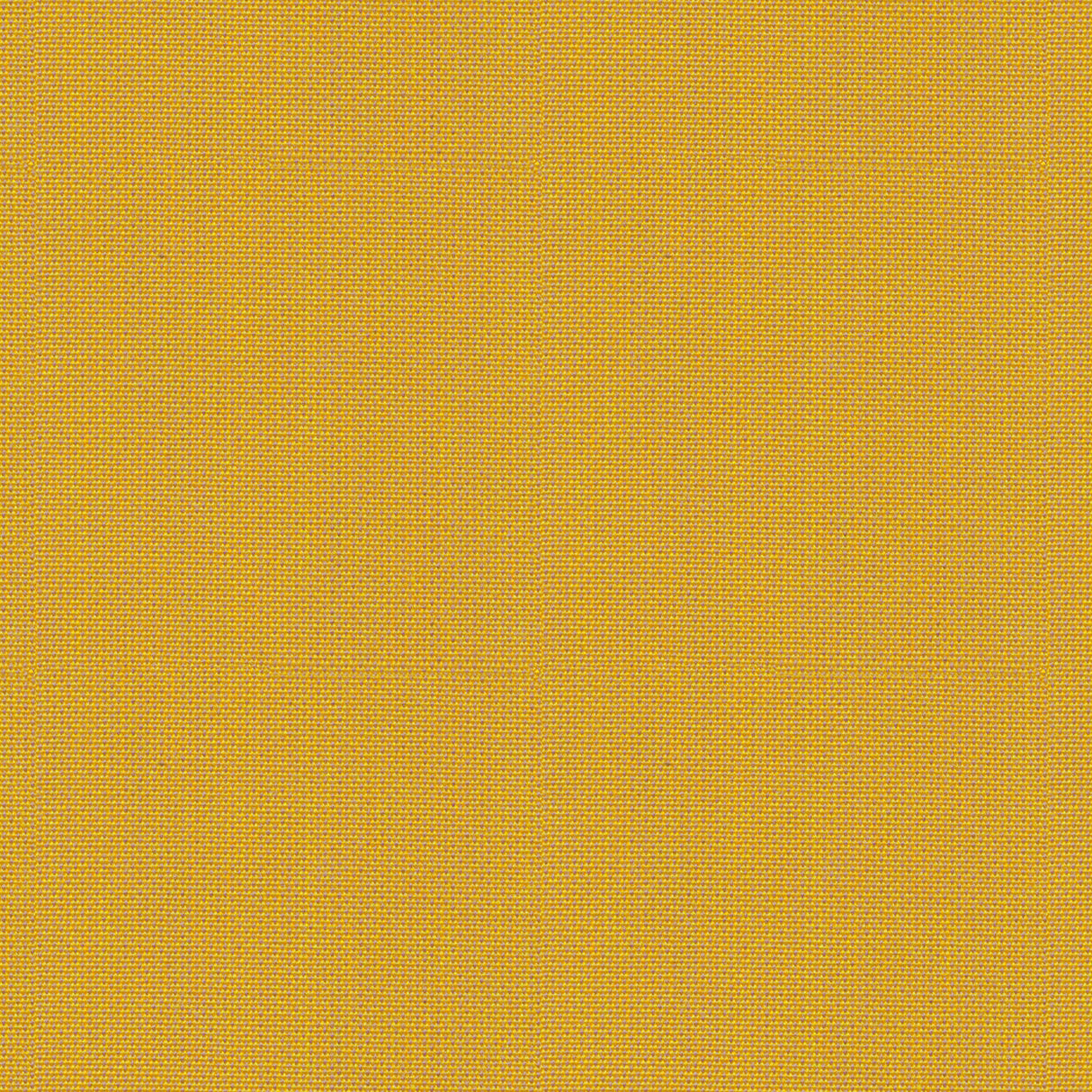 Point - Apricot Gelato