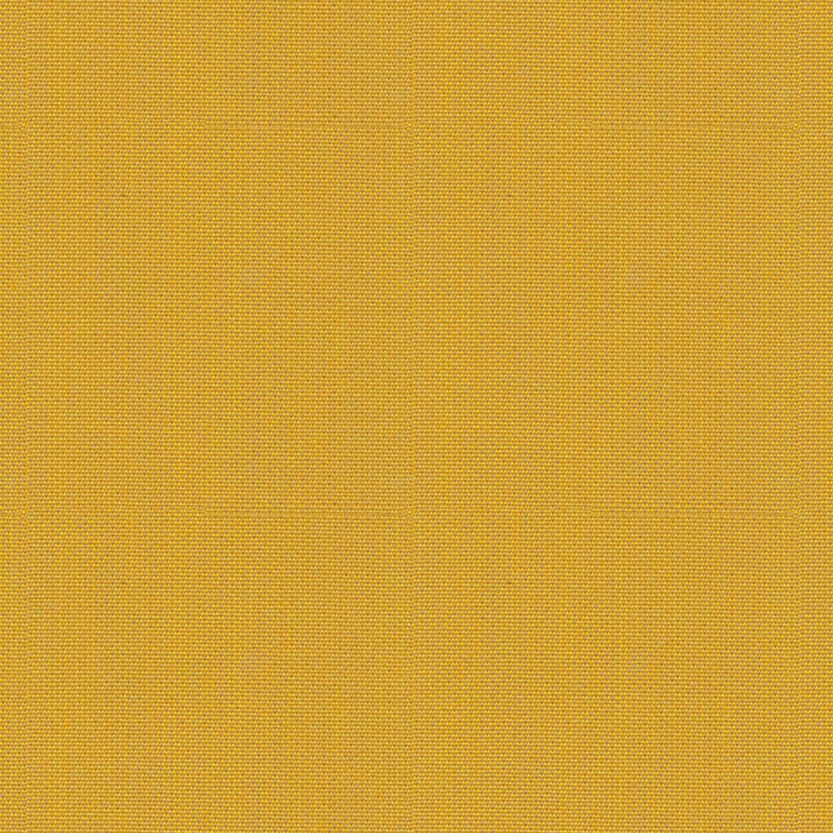 Point - Frosty Spruce