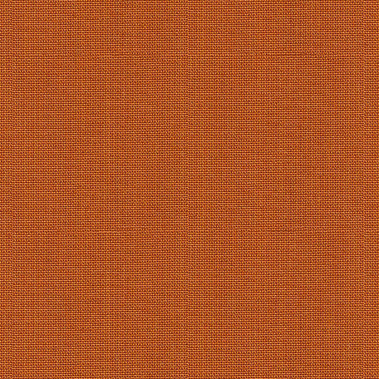 Point - Apricot Gelato