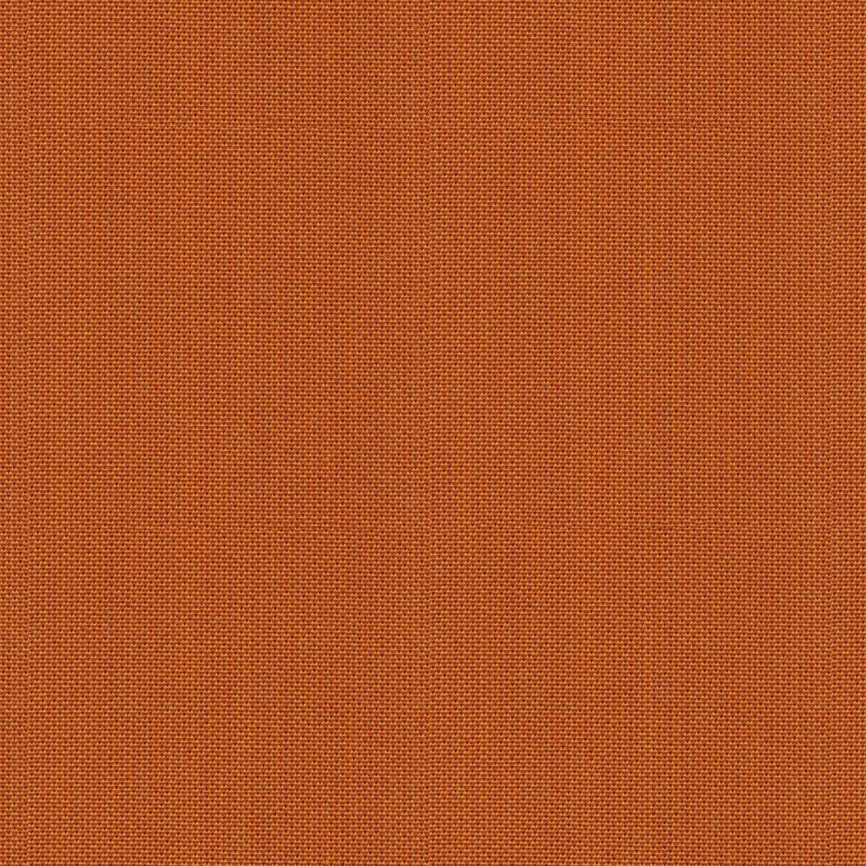 Point - Frosty Spruce