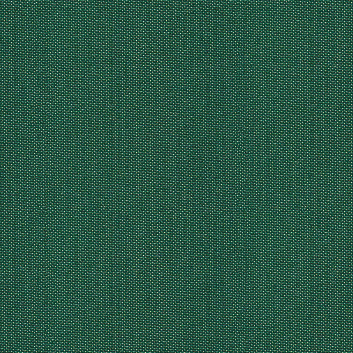 Point - Apricot Gelato