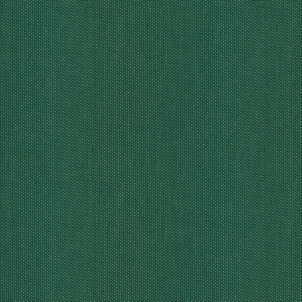 Point - Frosty Spruce