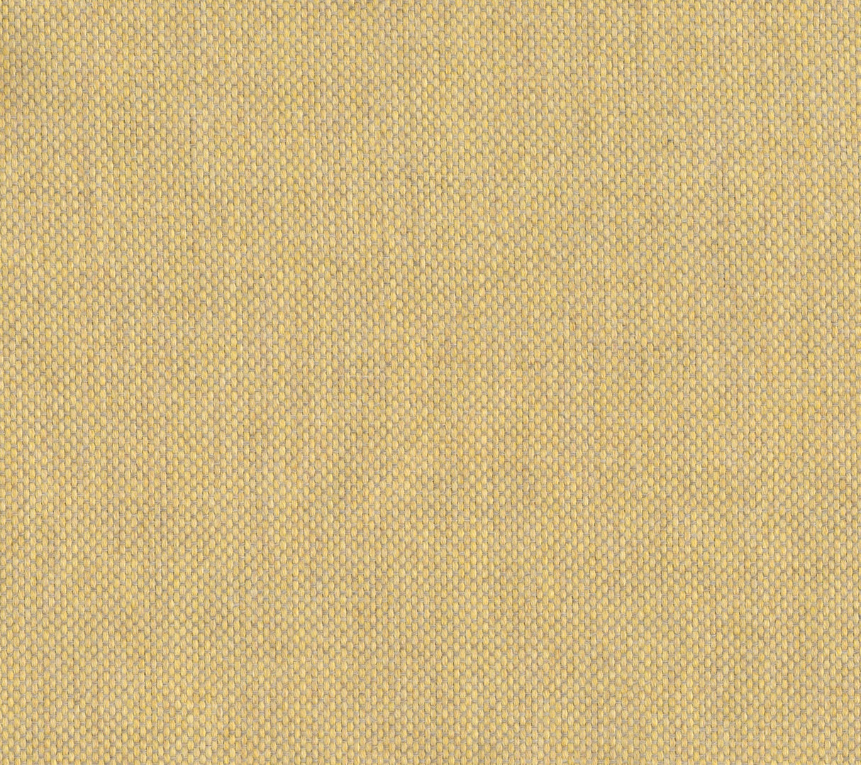 Sailcloth - Roasted Cashew