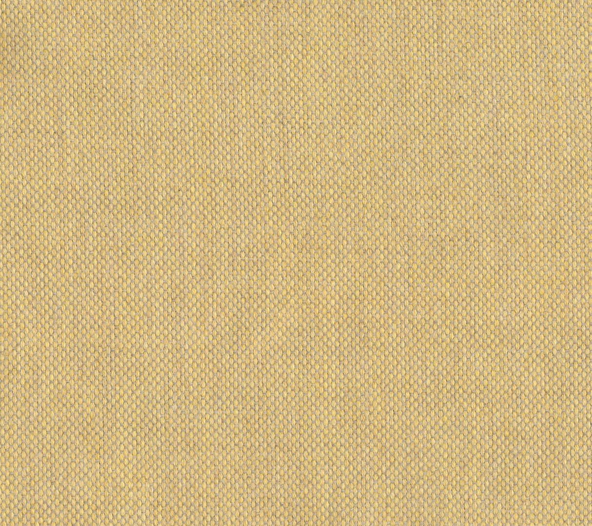 Sailcloth - Summer Sand