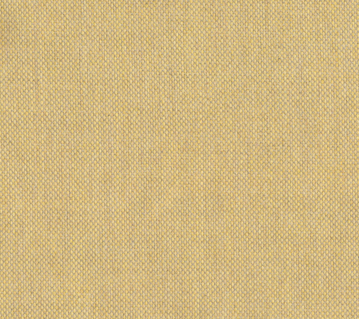 Sailcloth - Foggy Dew