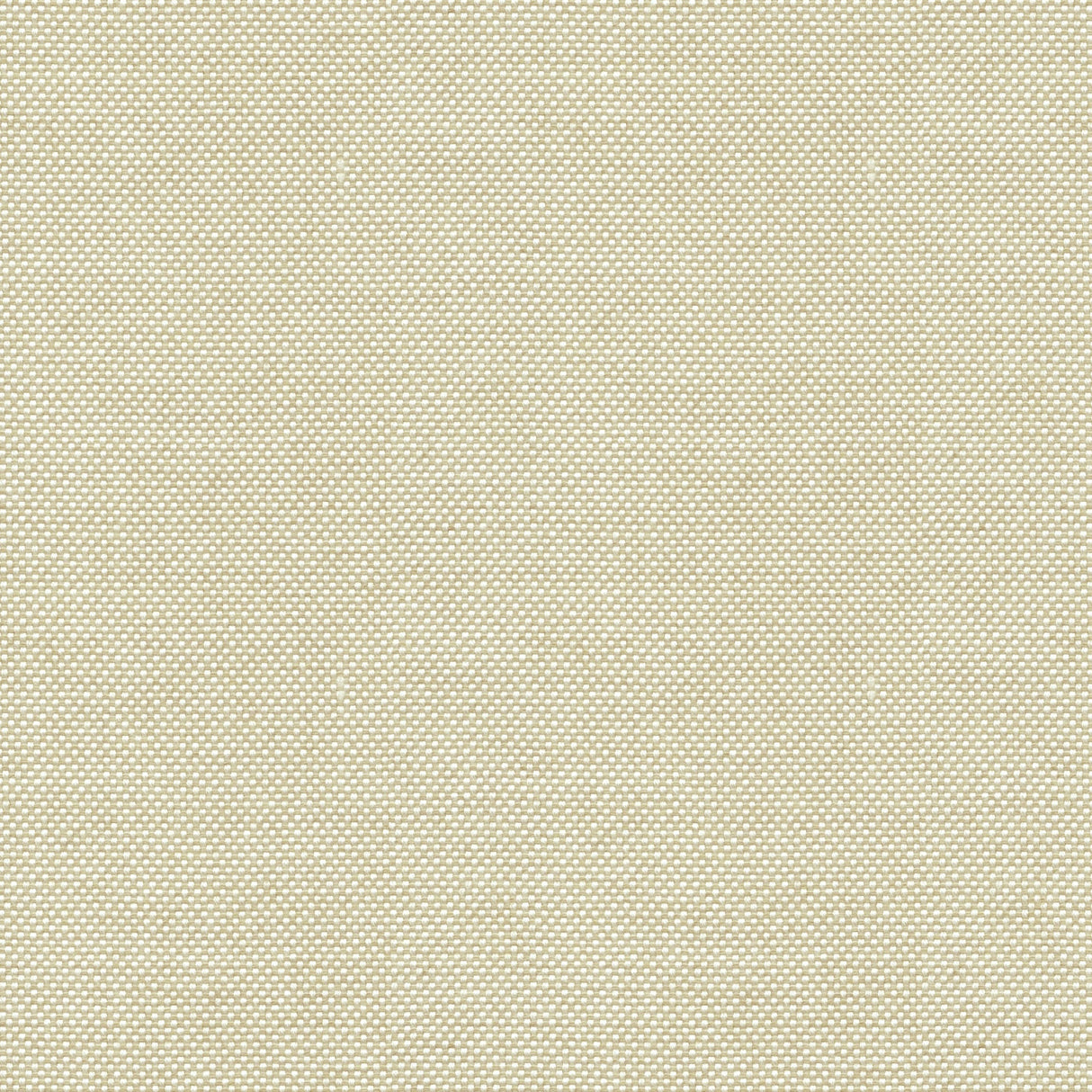 Sailcloth - Roasted Cashew