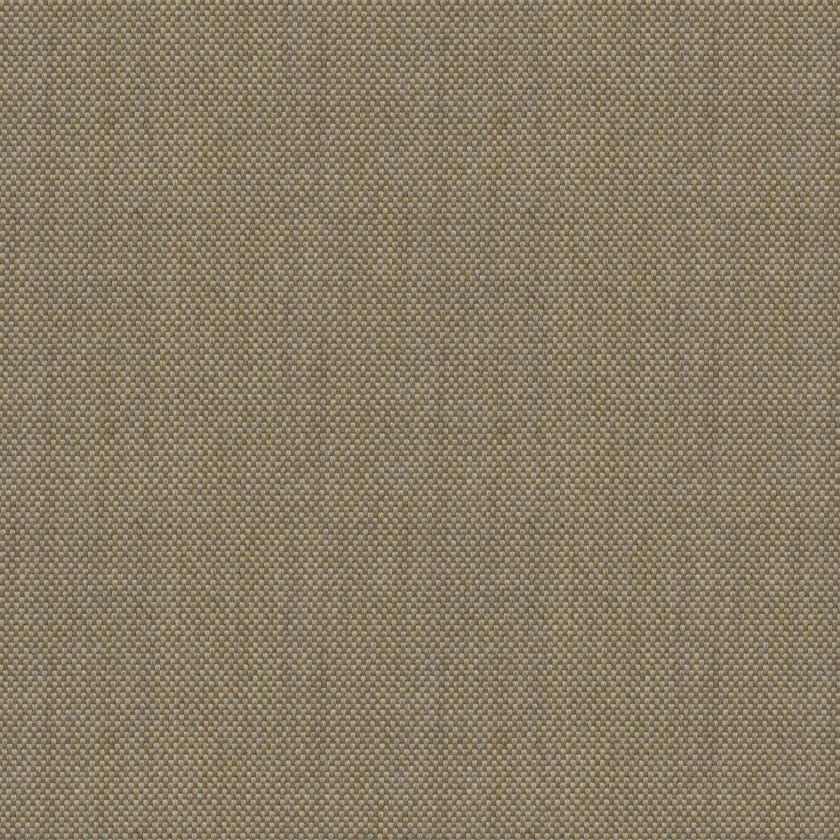 Sailcloth - Roasted Cashew