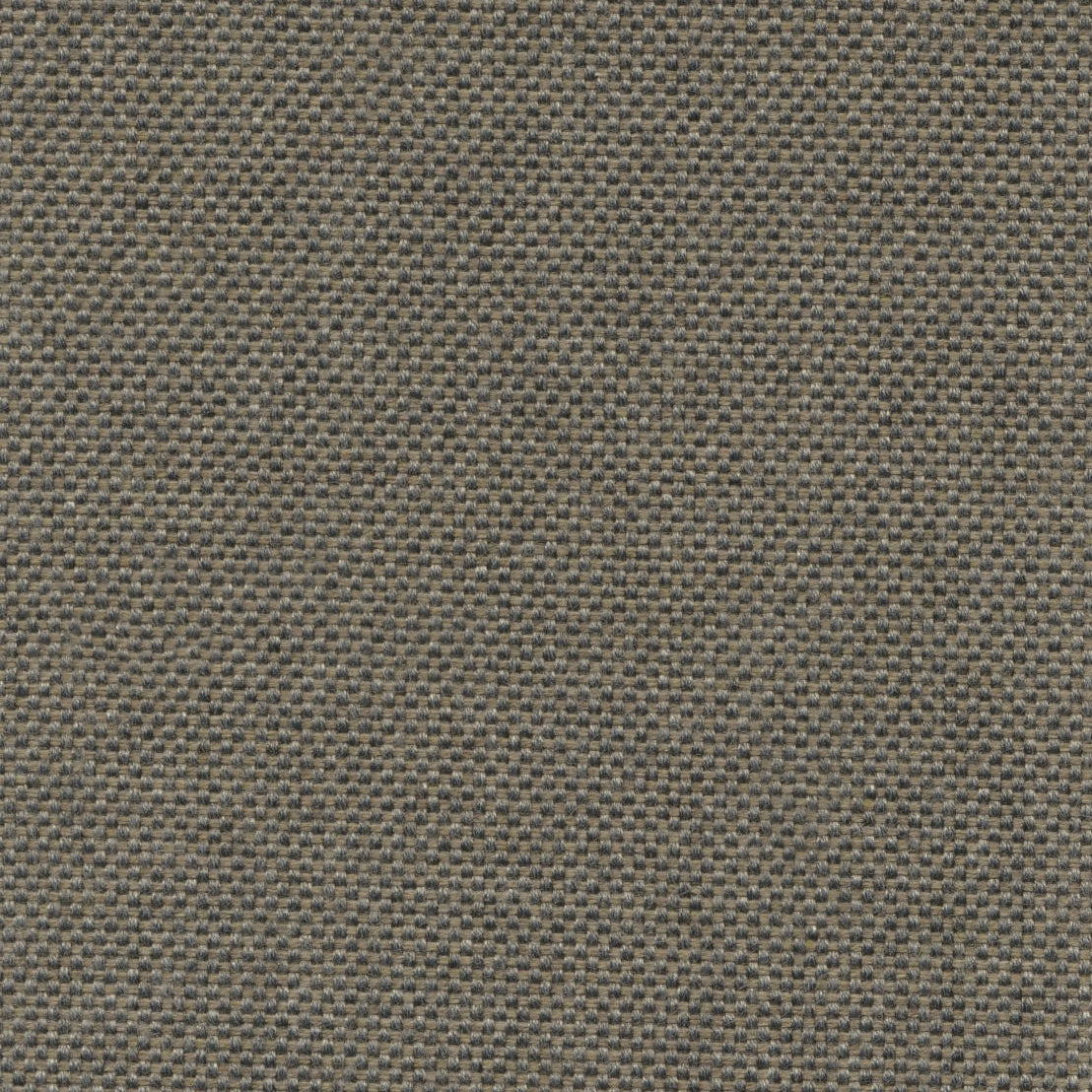 Sailcloth - Cherry Mahogany