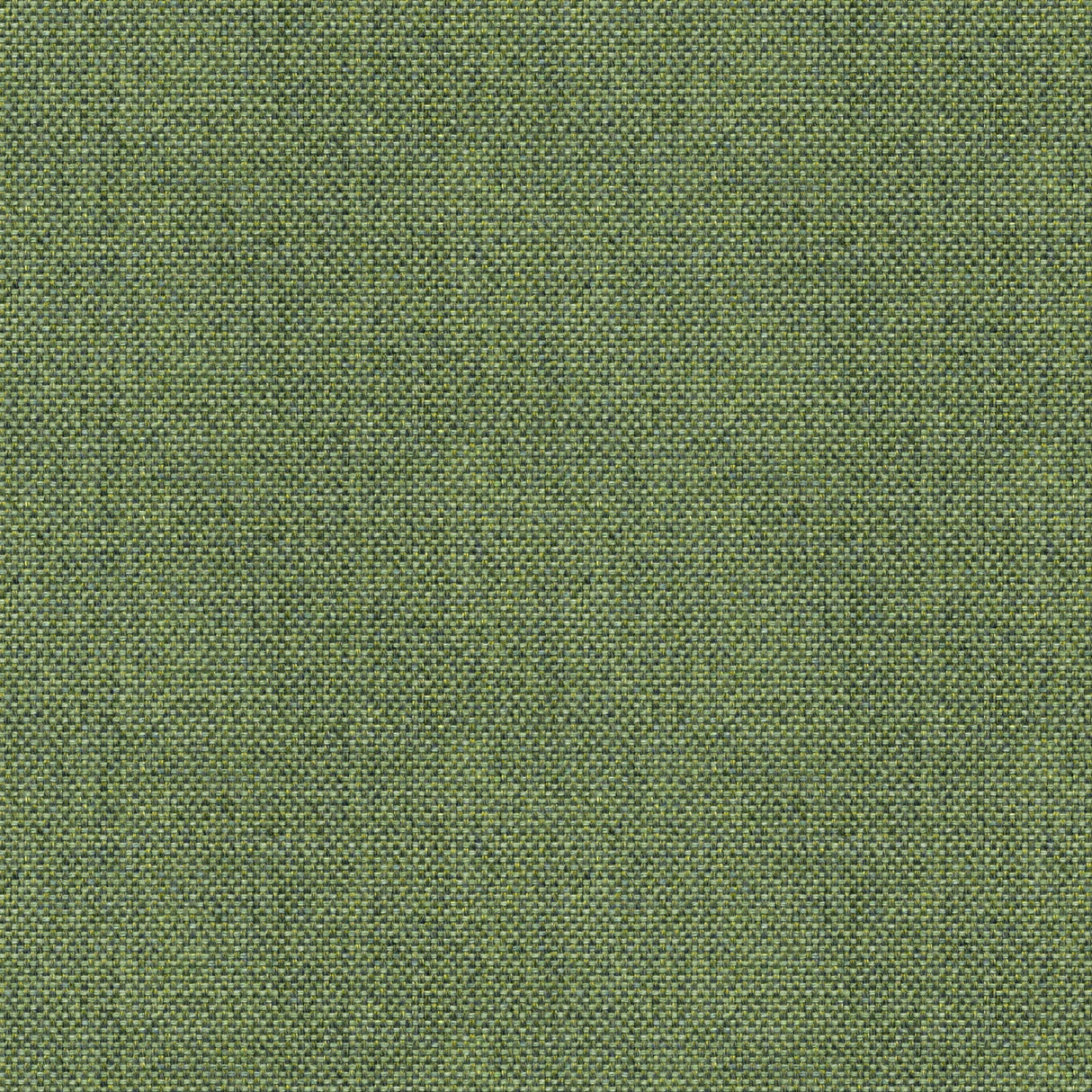 Sailcloth - Roasted Cashew