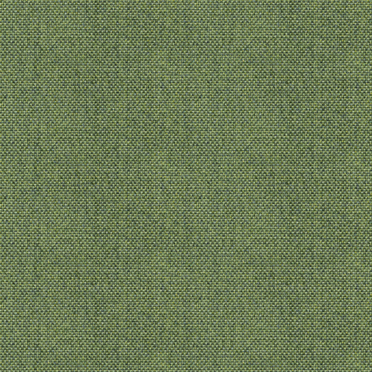 Sailcloth - Foggy Dew