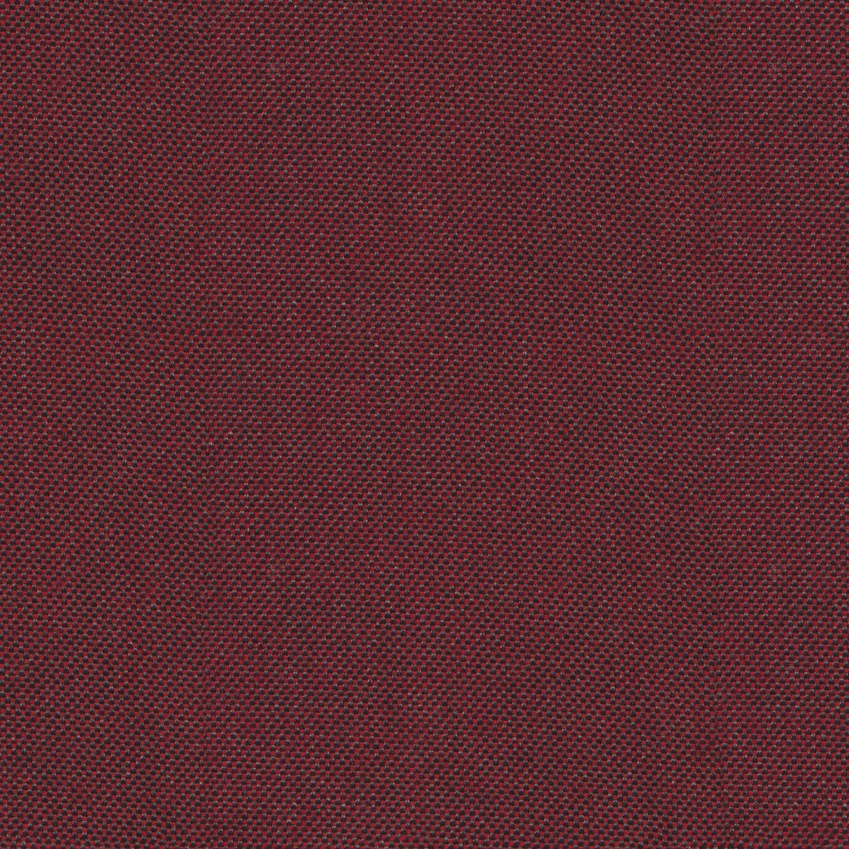 Sailcloth - Chinchilla