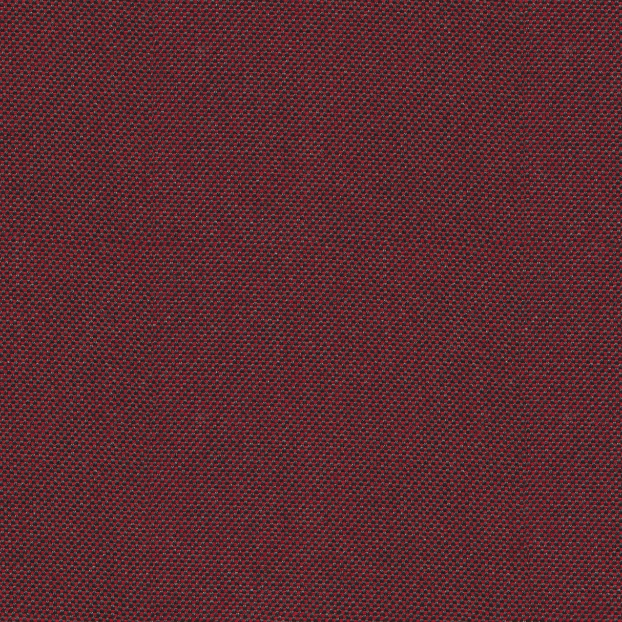 Sailcloth - Summer Sand