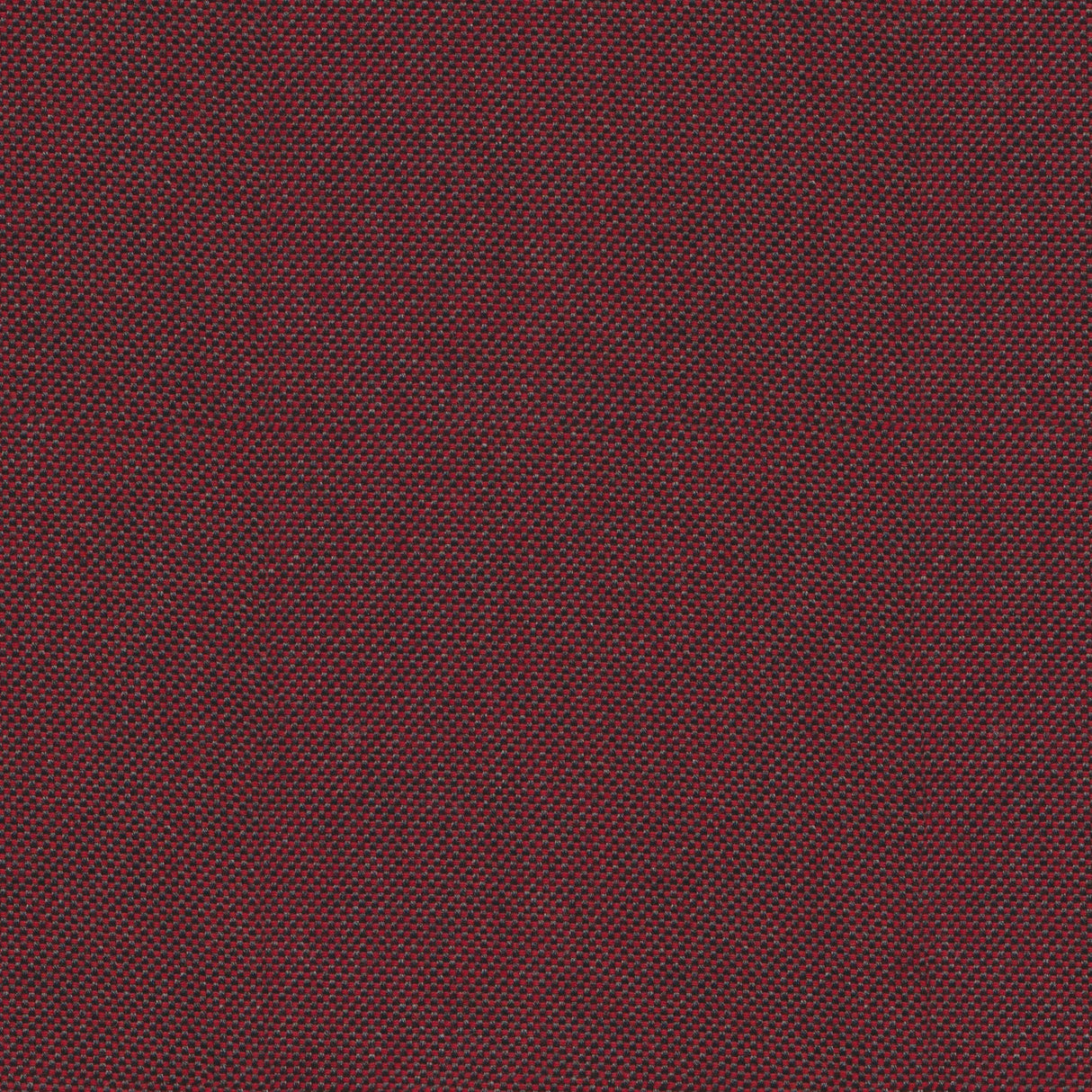 Sailcloth - Roasted Cashew