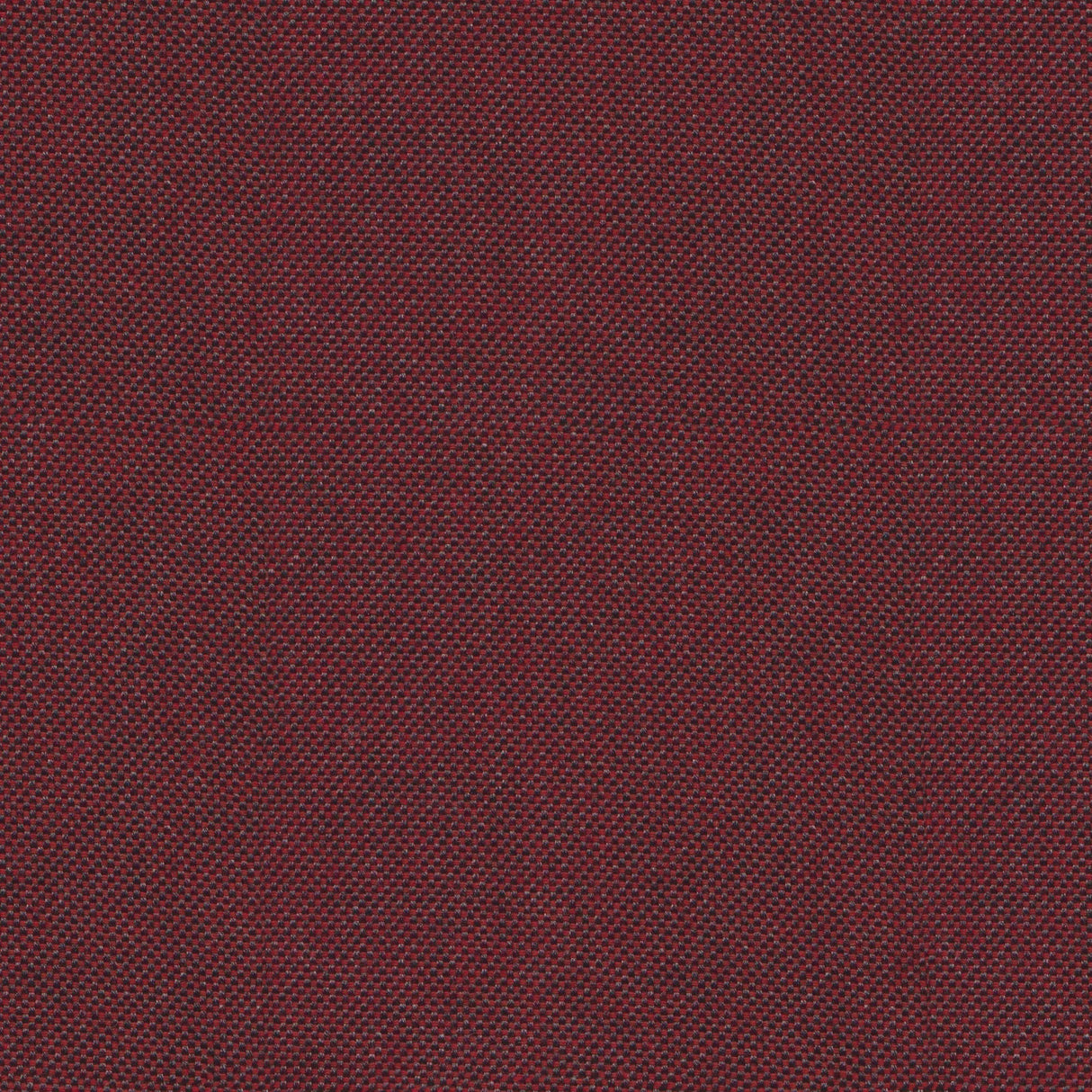 Sailcloth - Reed Yellow