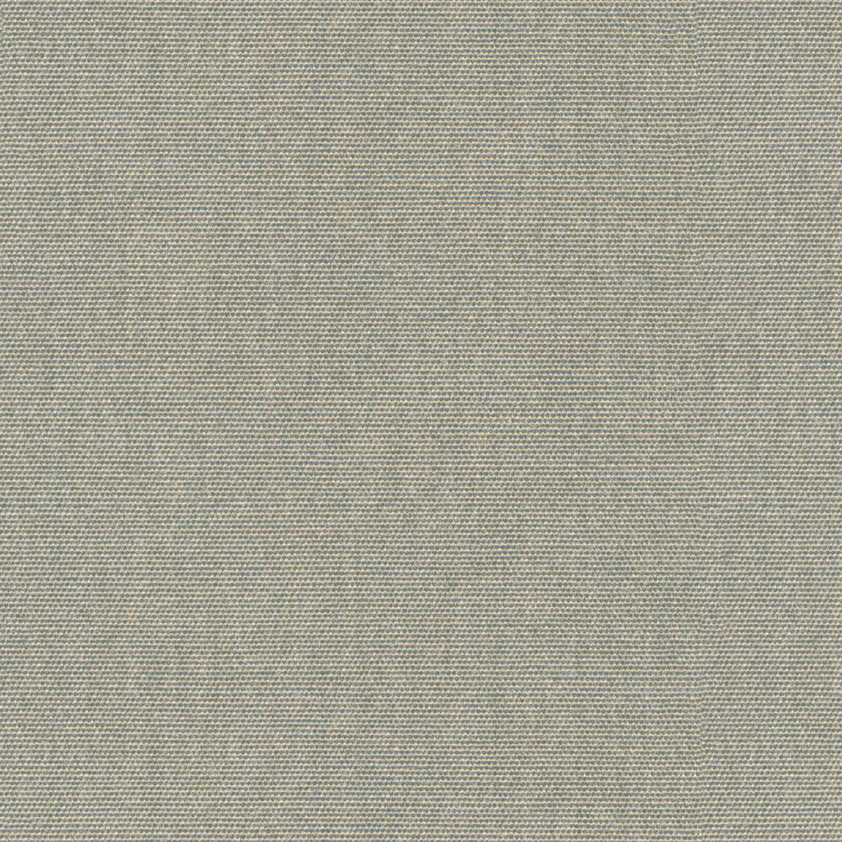 Nostalgia - Brown Rice