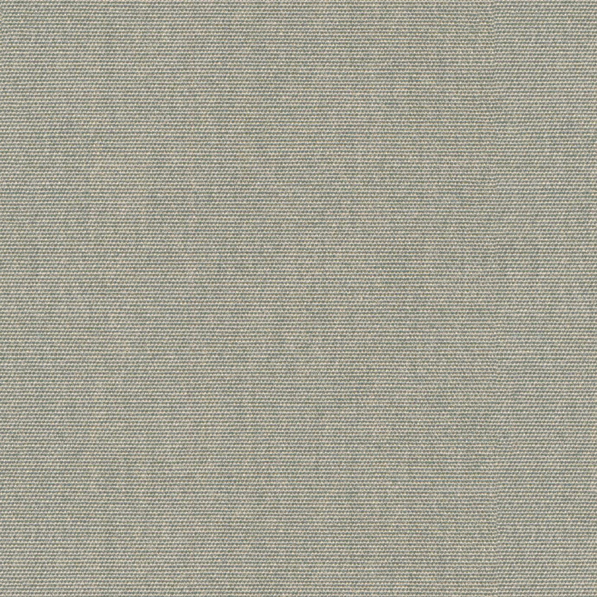 Nostalgia - Green Olive