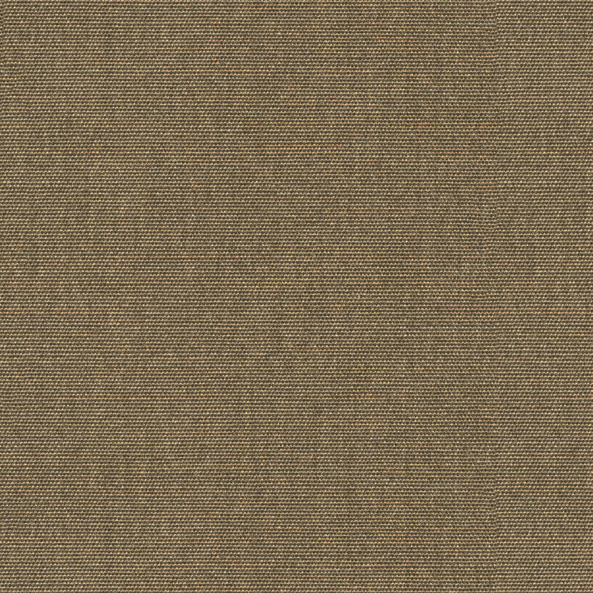 Nostalgia - Brown Rice