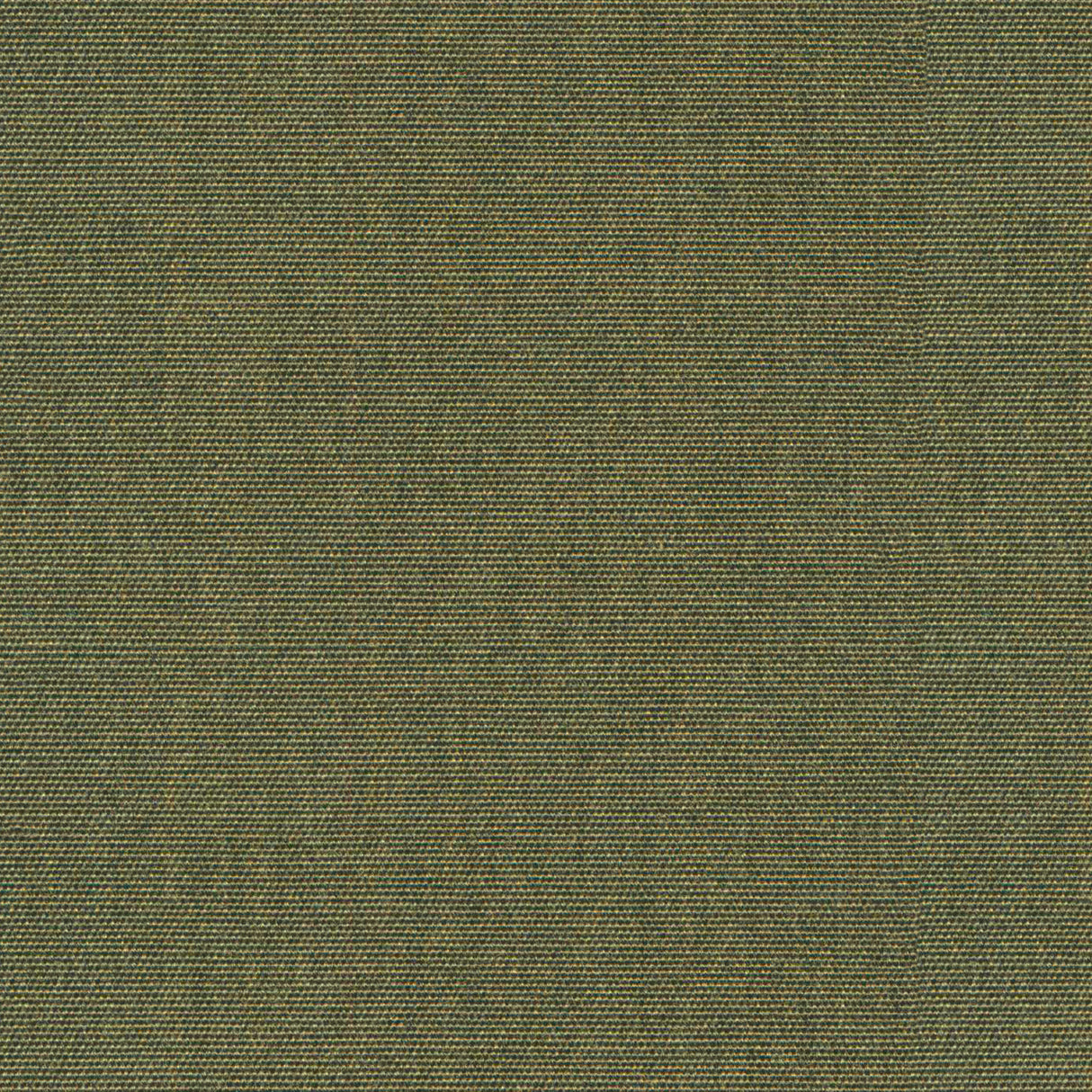 Nostalgia - Brown Rice