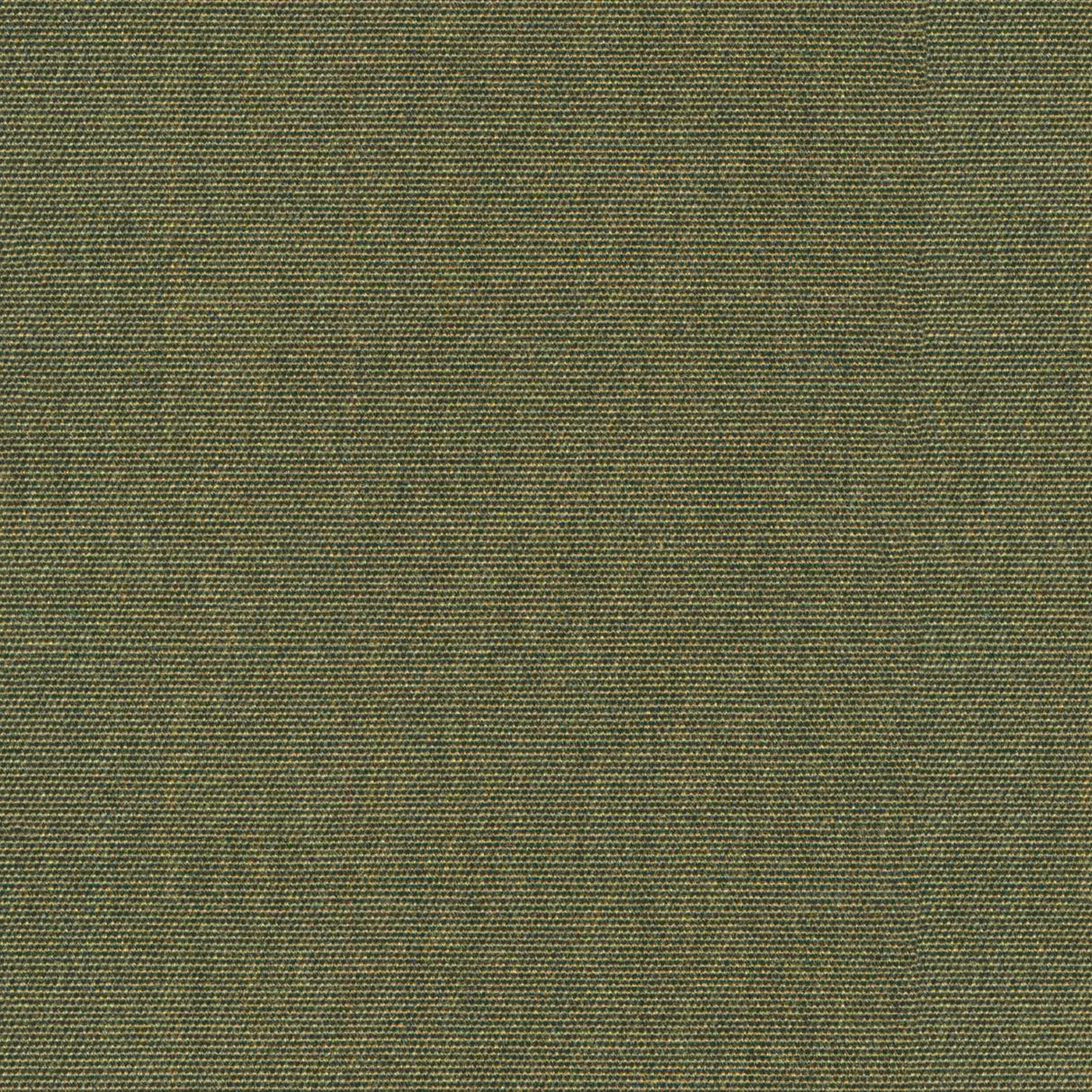 Nostalgia - Green Olive