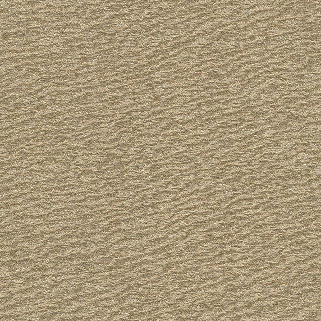 Desert - Starlight Grey