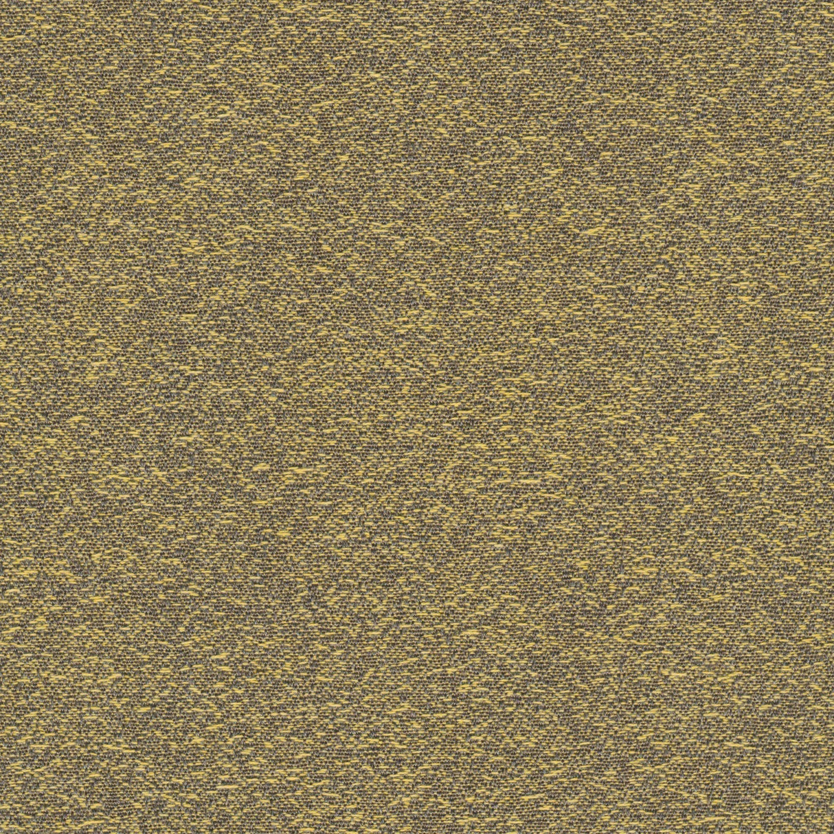 Desert - Golden Brown