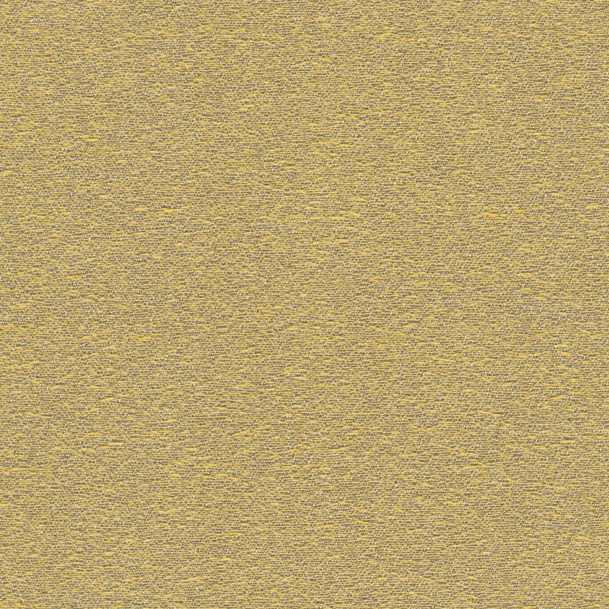 Desert - Starlight Grey