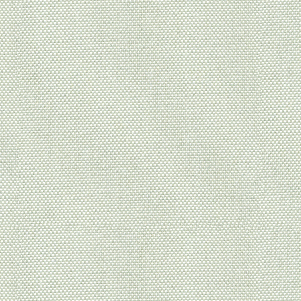 Canvas - Frost White