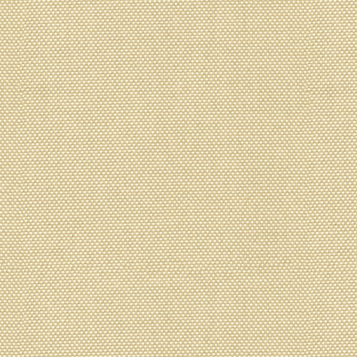 Canvas - Frost White