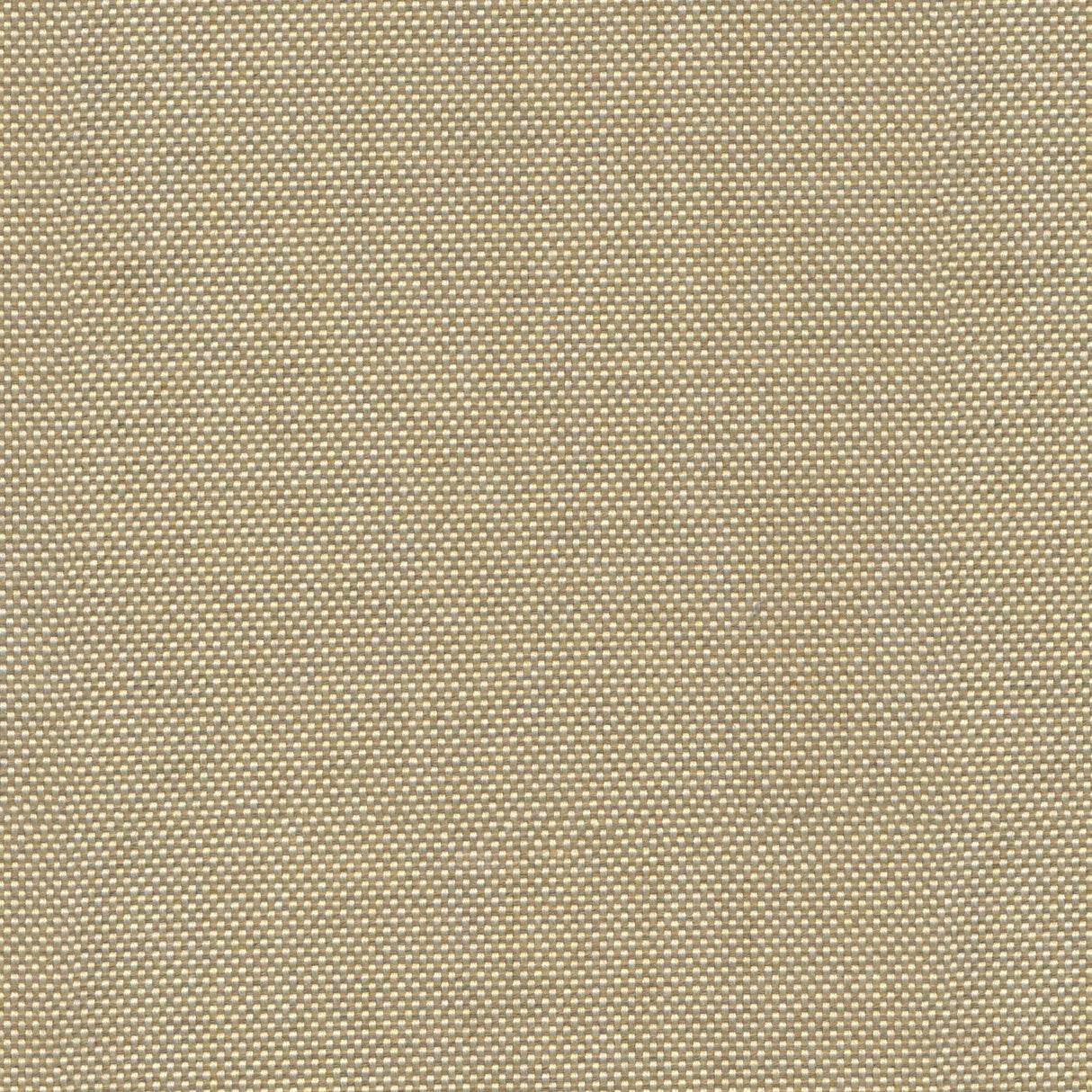 Canvas - Frost White