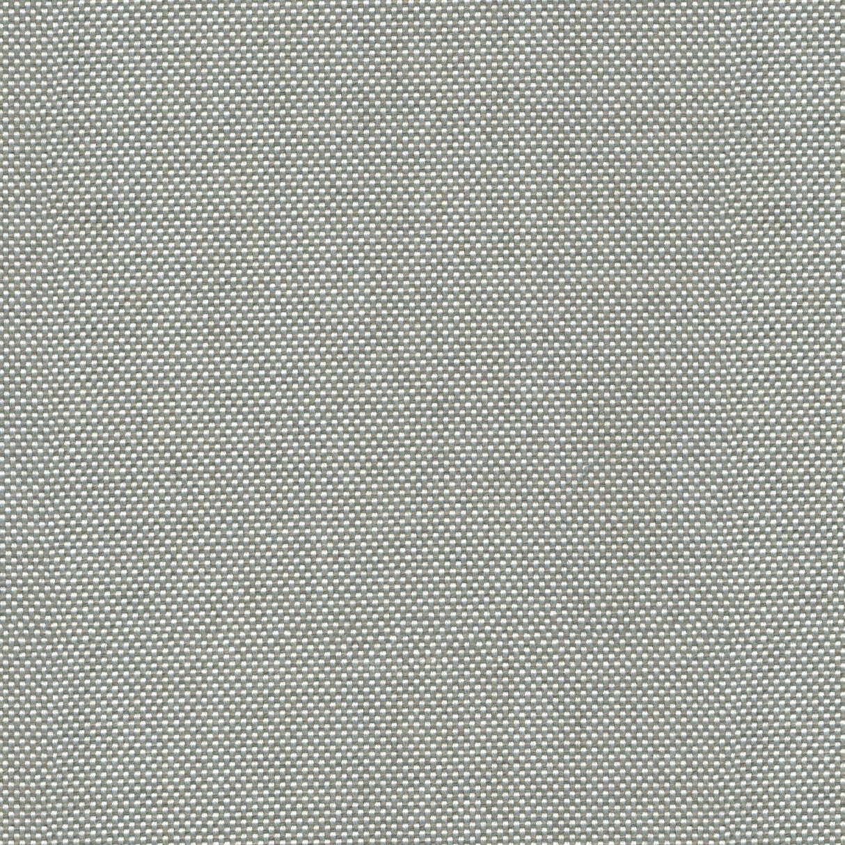 Canvas - Frost White