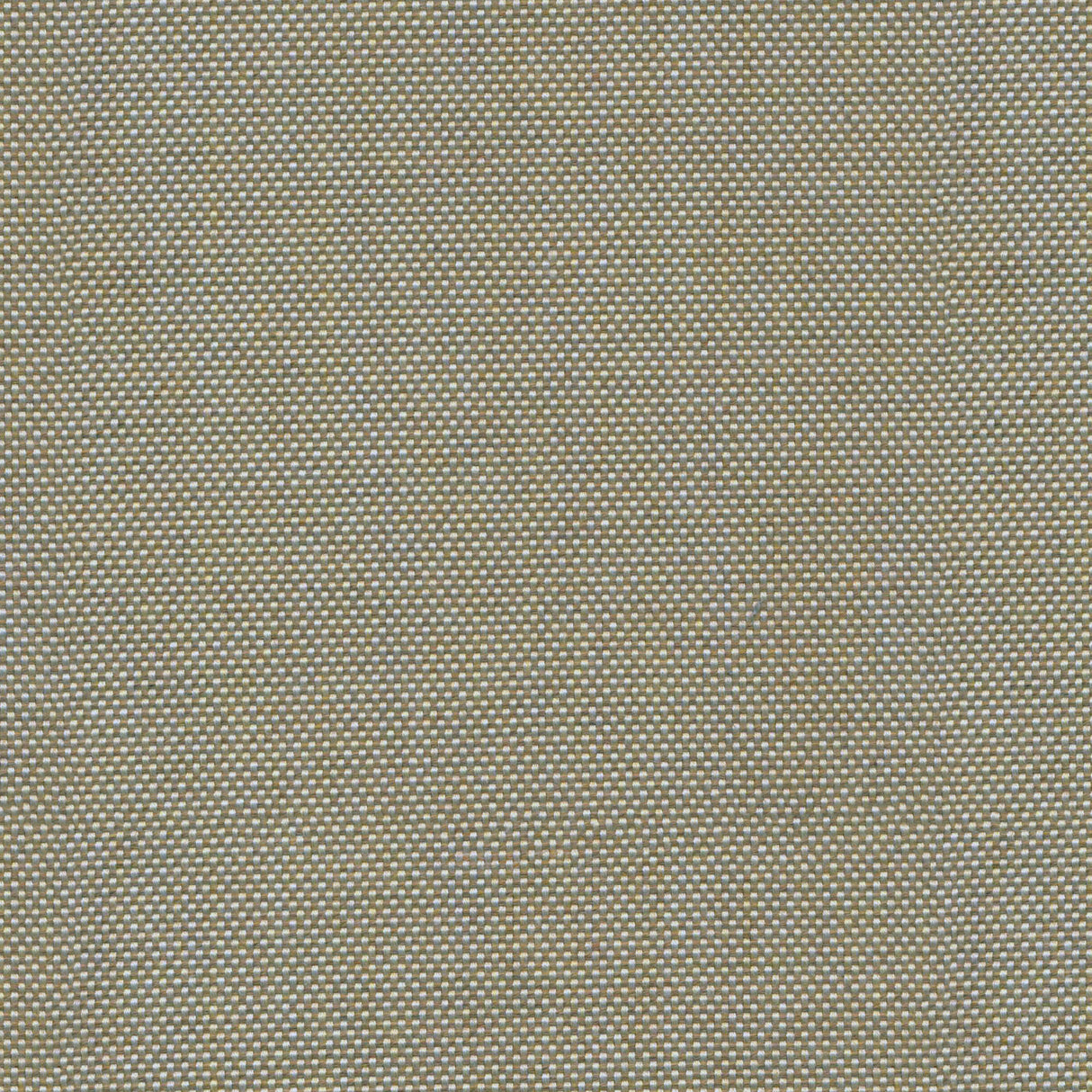 Canvas - Frost White