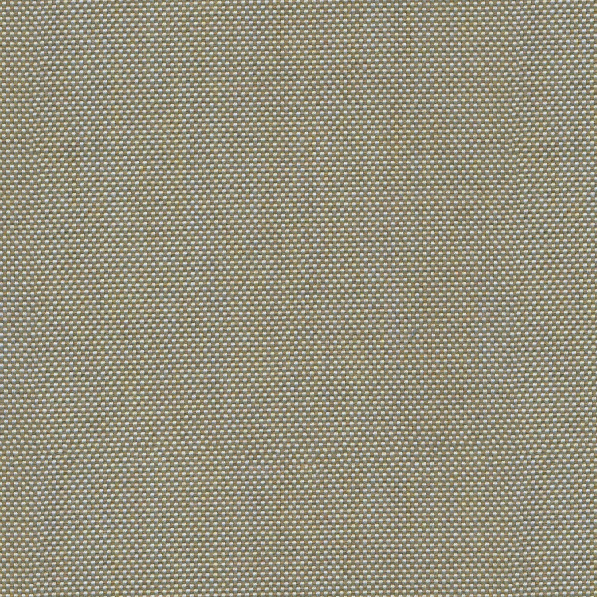 Canvas - Carbon Black