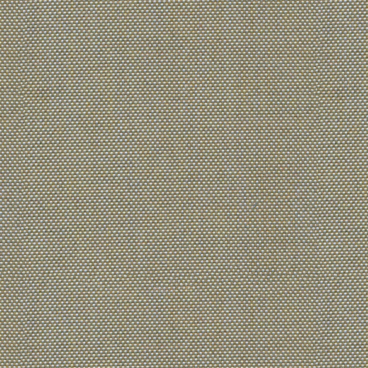 Canvas - Prairie Sand