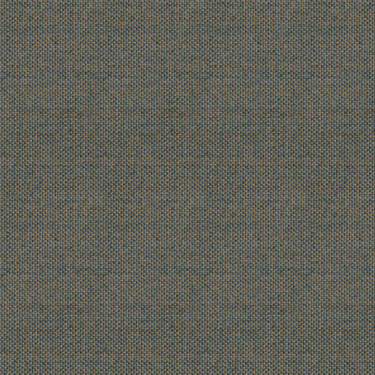 Canvas - Frost White