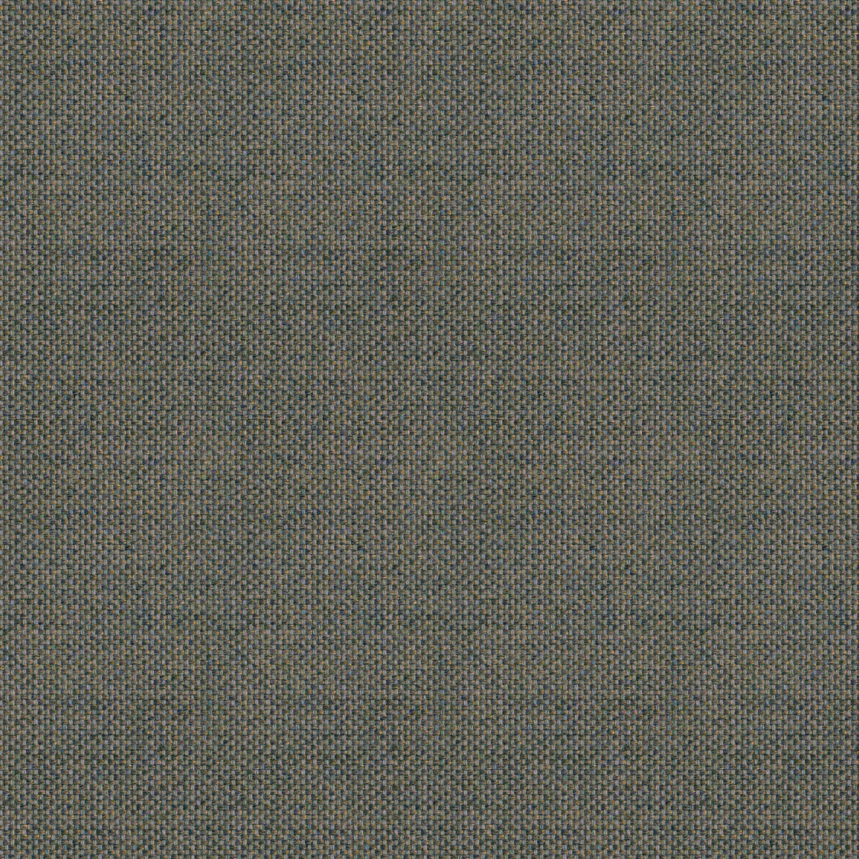 Canvas - Carbon Black