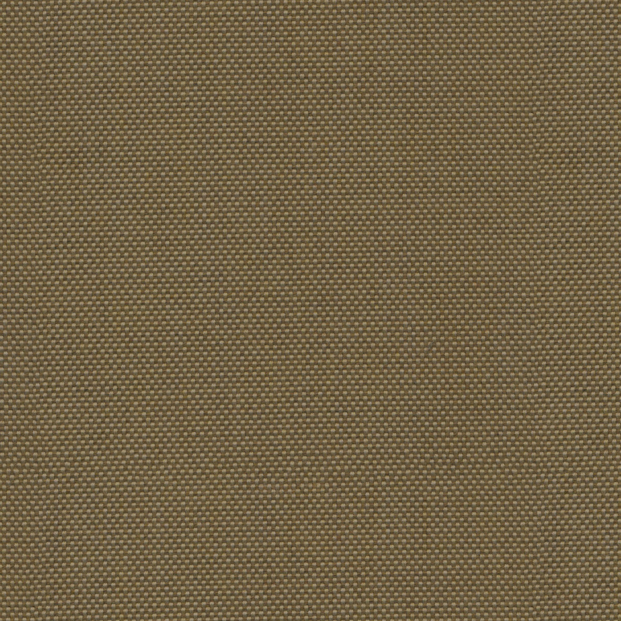 Canvas - Frost White