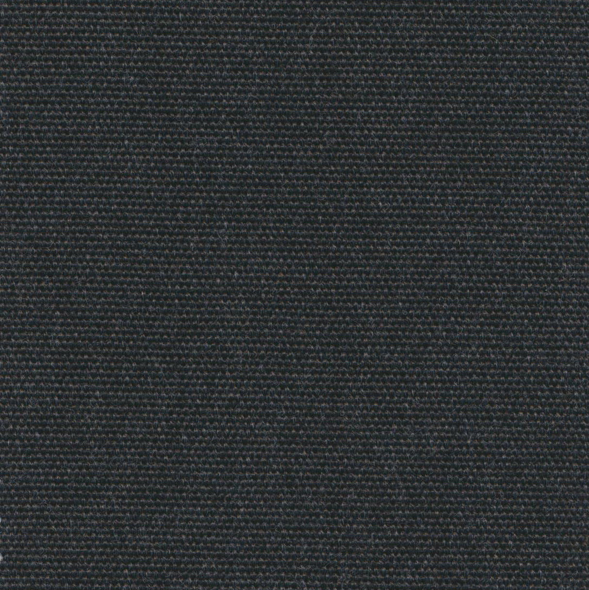 Canvas - Frost White