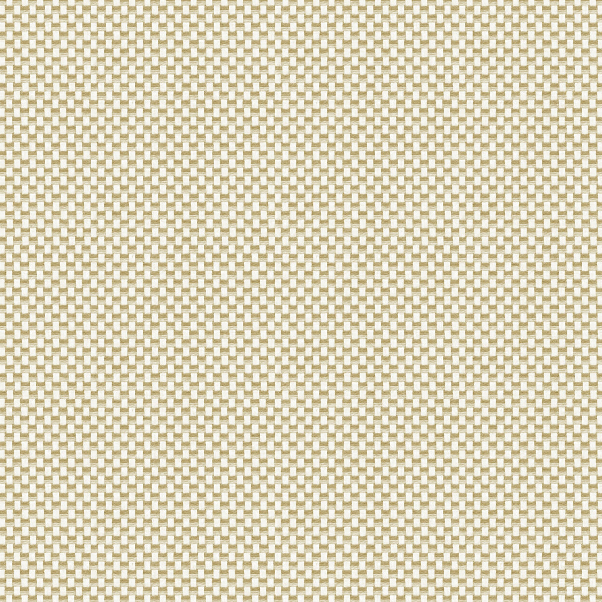 Grid - Island Fossil