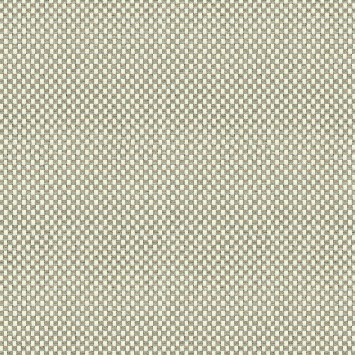 Grid - Island Fossil