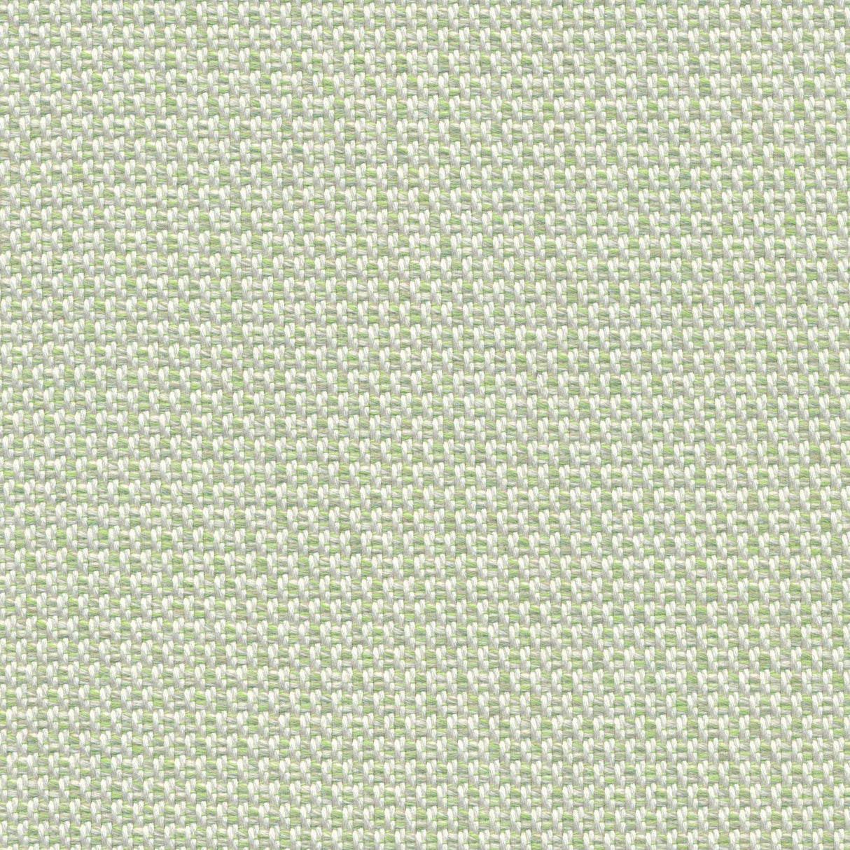 Union - Elephant Grey