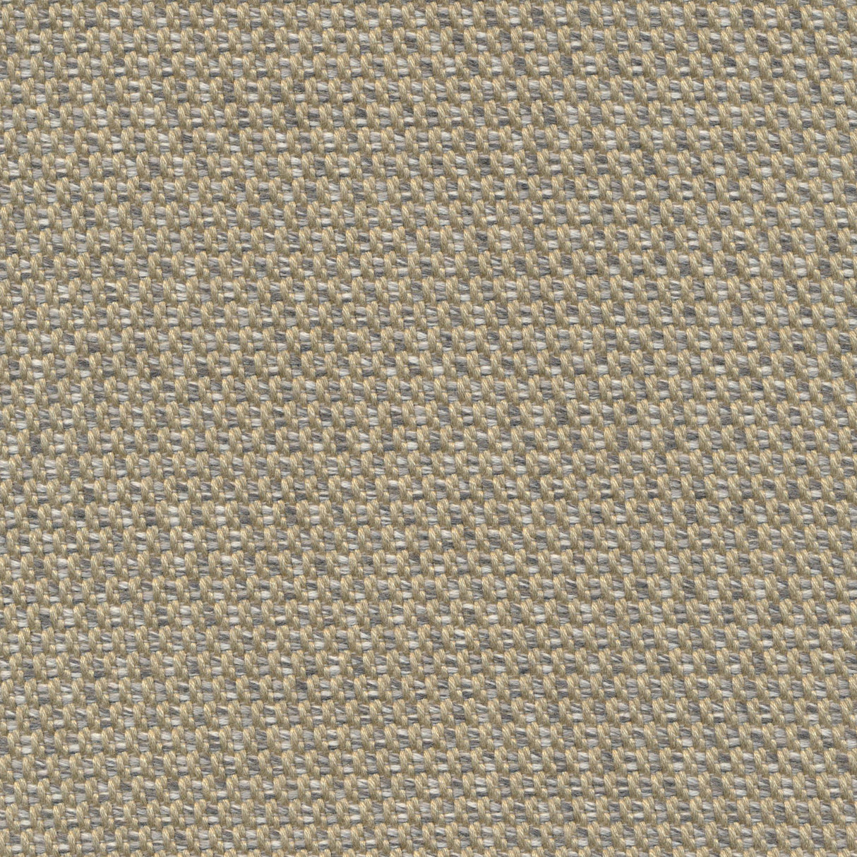 Union - Vanilla Custard