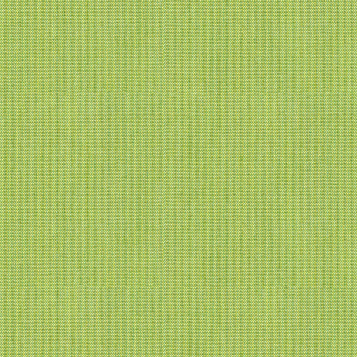 Blend - Winter Twig